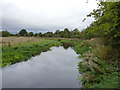 The Tern, upstream of Allscott Mill