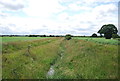 Drainage ditch, Fen Lane