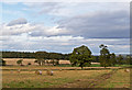 Farmland near Drummawhance