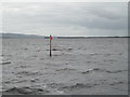 R8087 : Navigation Marker off the Corrikeen Islands, Lough Derg, Co. Tipperary by JP