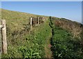 Coast path above Battern Cliffs