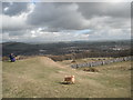 Buxton from Grin Low Country Park