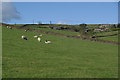 Farms on Kirk Hill