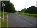 Road to Cowpen Bewley Country Park