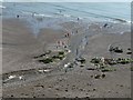 River crossing Seaton beach