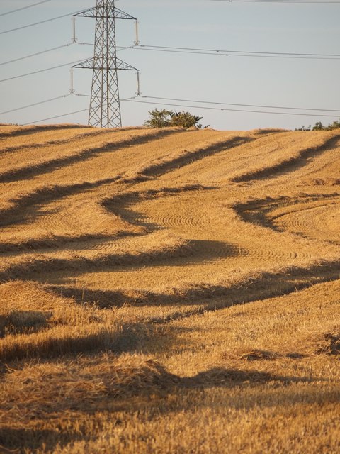 Harvester trails
