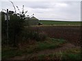 Footpath across the field to Westmoor Plantation