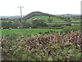 Sheep pasture to the north of Garth Farm