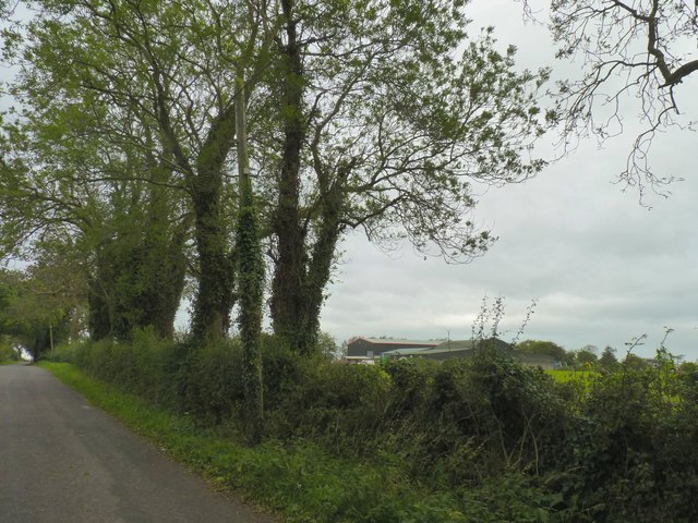 Farm behind trees