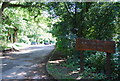 Welcome to Cannon Hill Park and Holders Lane Wood