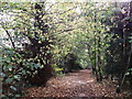 Path in West Wickham Common