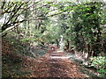 Bridleway to Furze Bottom