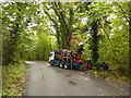 Stacking logs on a lorry