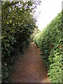 Footpath to Alley Road