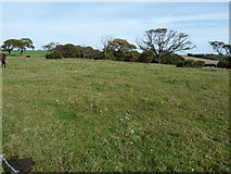 TQ3512 : Site of an ancient Settlement on Plumpton Plain by Dave Spicer