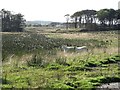 Wetland, Boxton