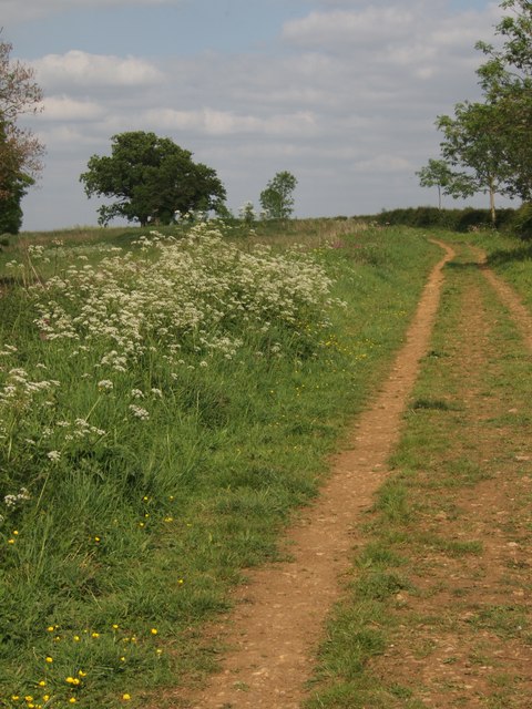 Footpath south of Combs Plantation, nr Stathern