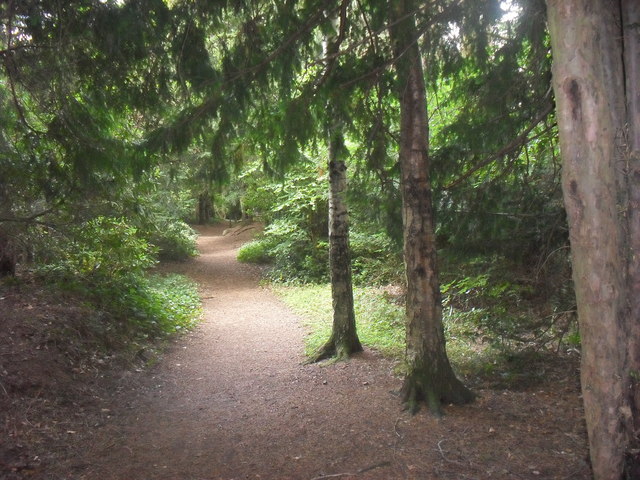 Path through Jarn Mound wild garden