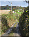 Lane to Hillfield from Cotterbury Green 