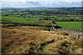 The end of the access land below Stone Pit Hill