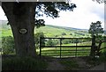 Frog Hall gateway