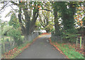 Falcondale Drive crosses Nant Creuddyn