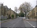 Cousen Road - viewed from Horton Park