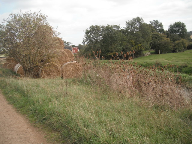 Hay Bales near Little Barford Mill