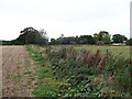 Footpath to Home Wood