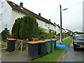 Bin collection day in St Mary