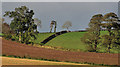 Drumlins near Comber (3)