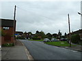 Telegraph wires in Cedars Way