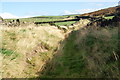 Stanridge Clough Lane