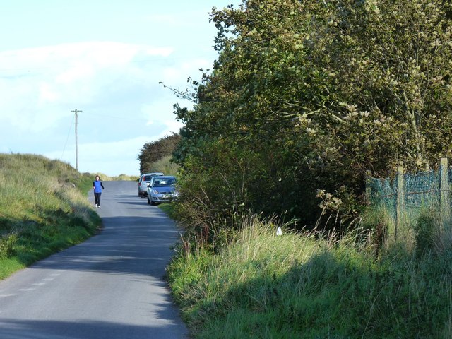 Road towards the sea