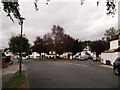 Birch Tree Avenue meets Queensway, Coney Hall