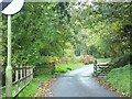 The road into Skaigh Wood