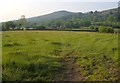 Hayne Brook valley