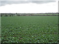 View towards Lapwater