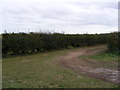 Field entrance off Sheepgate Lane