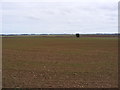 Fields at Red House Farm