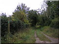 Bridleway to Back Lane