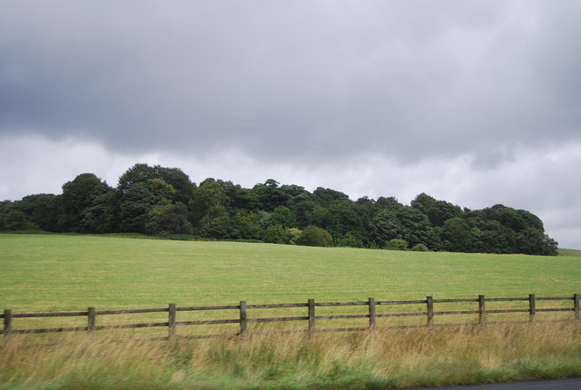 View towards Rowley Wood