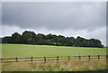 View towards Rowley Wood