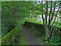 Footpath alongside the River Wear