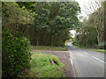 Minor road passing Greenhowe Clump