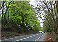 Main road, Dorking