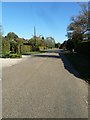 An autumnal Boughton Hall Avenue