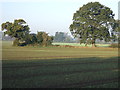 Farmland near Bishopthorpe