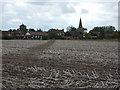 Across a field into Scarrington