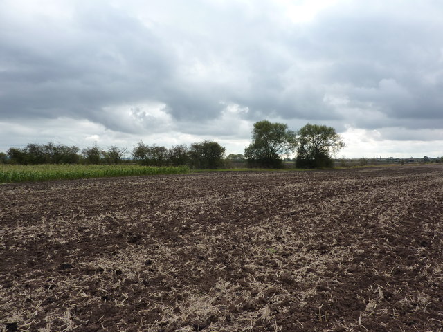 Ploughed field and corn field © Peter Barr :: Geograph Britain and Ireland